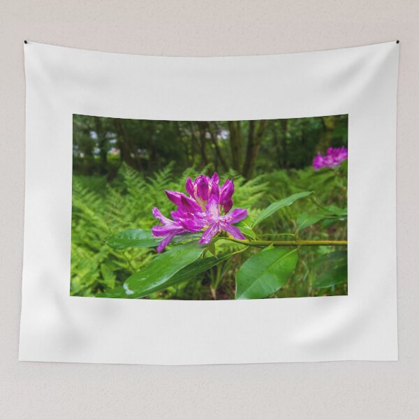 Item preview, Enchanting Rhododendrons designed and sold by RJW Images.