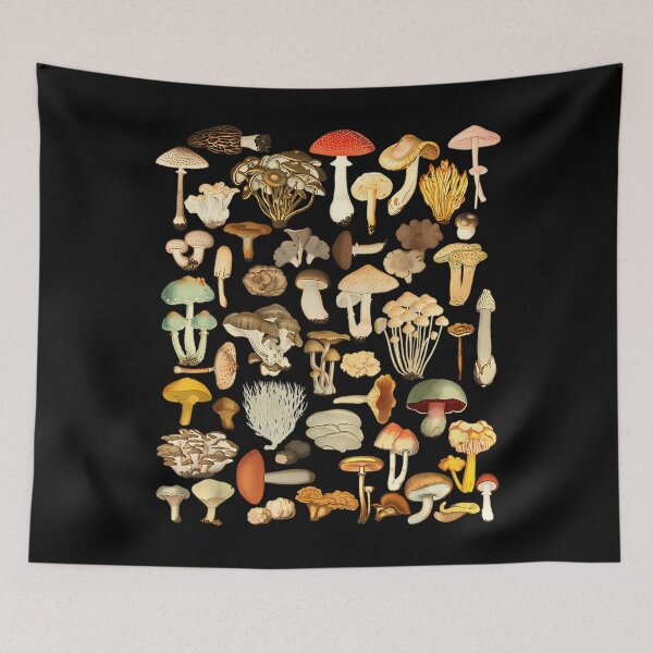Item preview, Mushroom Whisperer Foraging Mycology Quote designed and sold by djentomamatel.