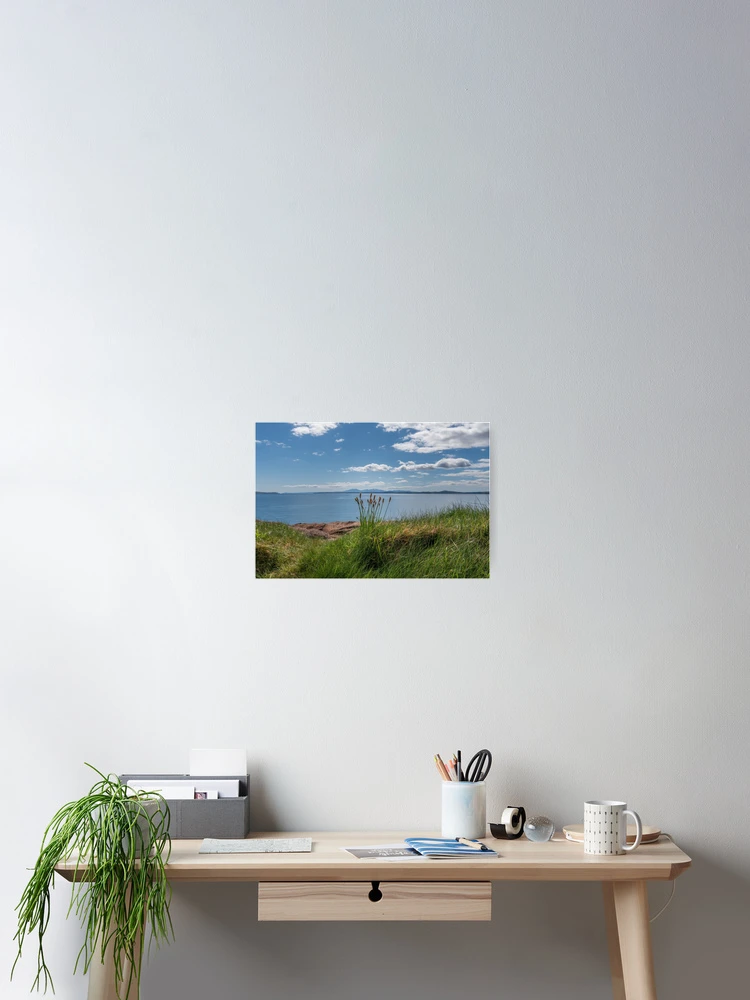Thumbnail 2 of 3, Poster, Wemyss Bay Shore Rushes designed and sold by RJW Images.