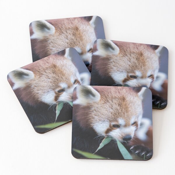 Item preview, Red panda eating bamboo leaves in a close-up wildlife portrait designed and sold by RastislavS.