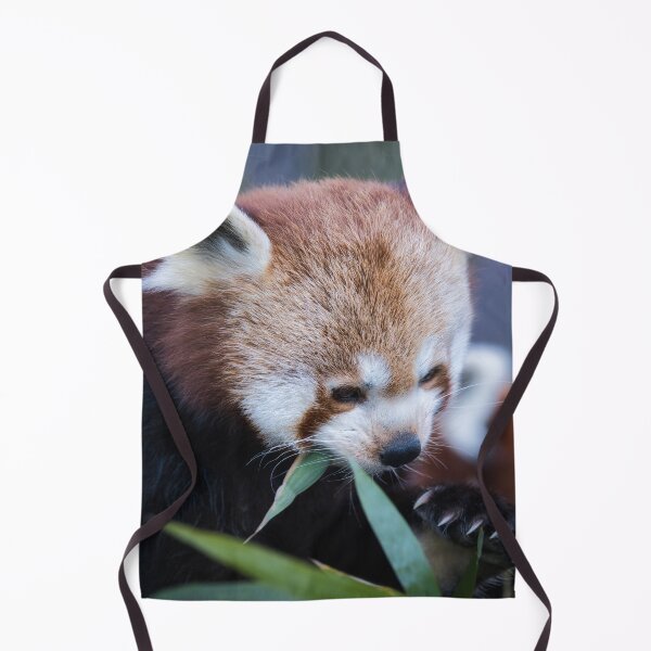 Item preview, Red panda eating bamboo leaves in a close-up wildlife portrait designed and sold by RastislavS.