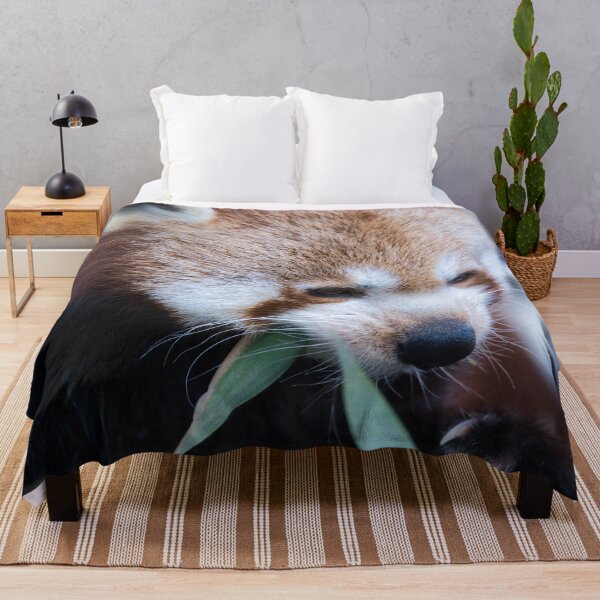 Item preview, Red panda eating bamboo leaves in a close-up wildlife portrait designed and sold by RastislavS.