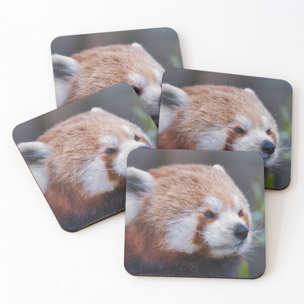 Item preview, Close-up portrait of a red panda with soft fur and calm expression designed and sold by RastislavS.