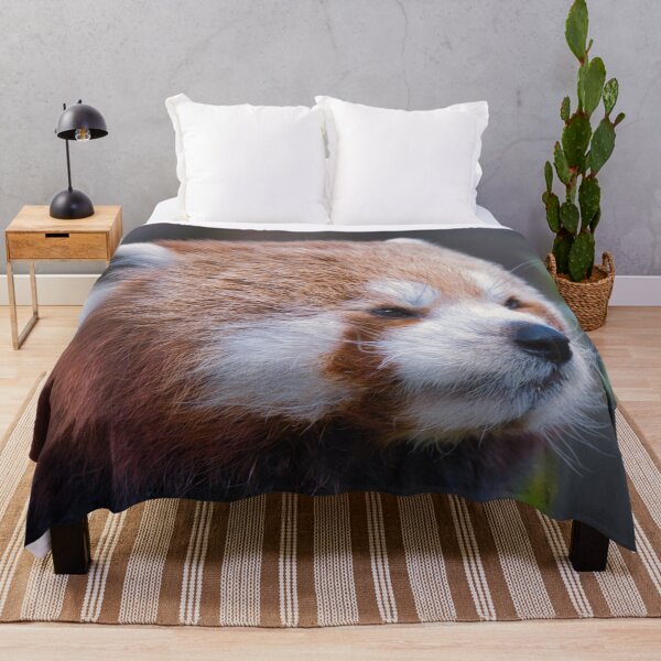 Item preview, Close-up portrait of a red panda with soft fur and calm expression designed and sold by RastislavS.