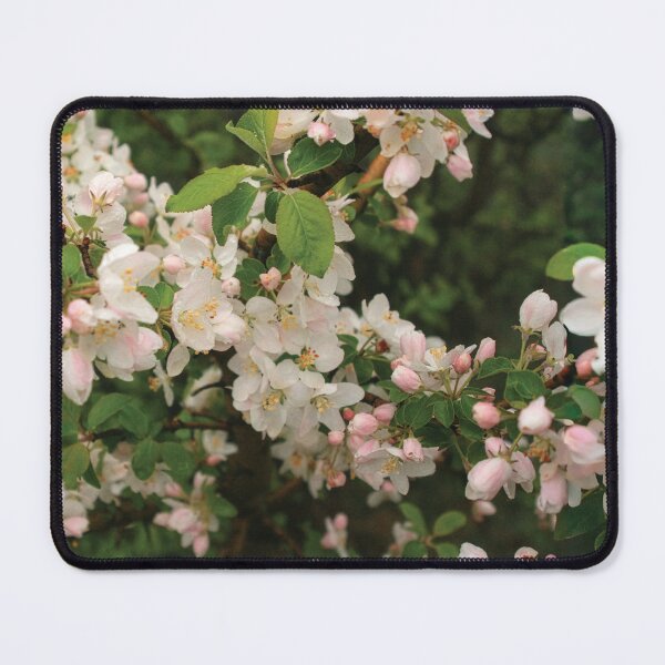 Item preview, Apple Blossom in the Crimean Mountains – Spring Floral Nature Photography designed and sold by Koimak.