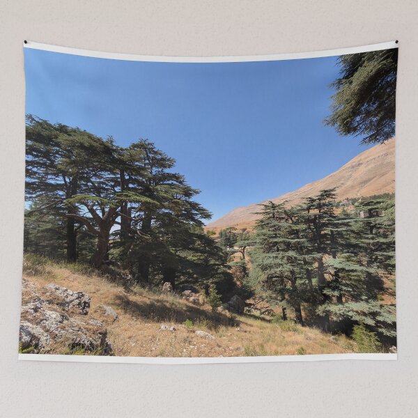 Item preview, Ancient Cedars of Lebanon: A Natural Wonder ✨ designed and sold by Photogenic Snap.