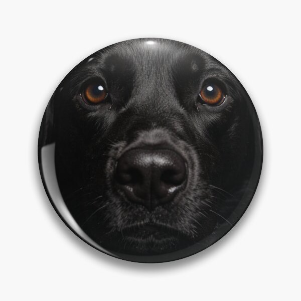 Item preview, Black Labrador Portrait – Deep Gaze Dog Art designed and sold by Darlin8888.