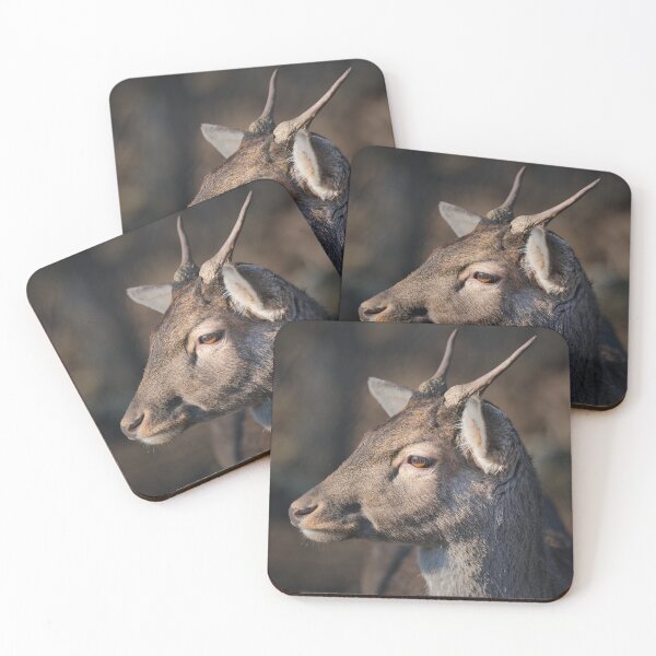Item preview, Close-up portrait of a fallow deer buck with growing antlers in natural light designed and sold by RastislavS.