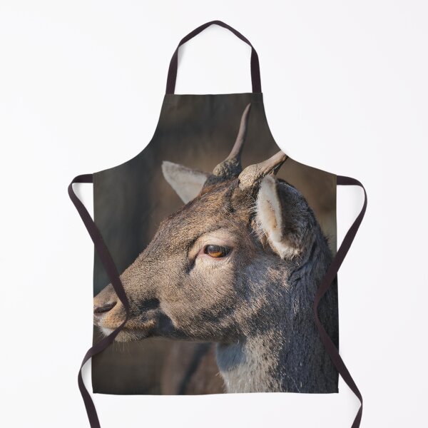 Item preview, Close-up portrait of a fallow deer buck with growing antlers in natural light designed and sold by RastislavS.