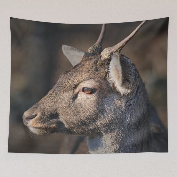 Item preview, Close-up portrait of a fallow deer buck with growing antlers in natural light designed and sold by RastislavS.