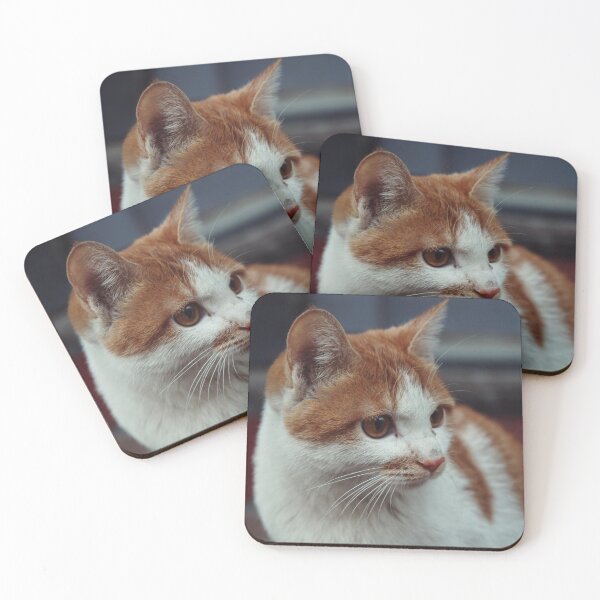 Item preview, Golden Hour Whiskers: Cozy Ginger Cat. designed and sold by NovellaNight.