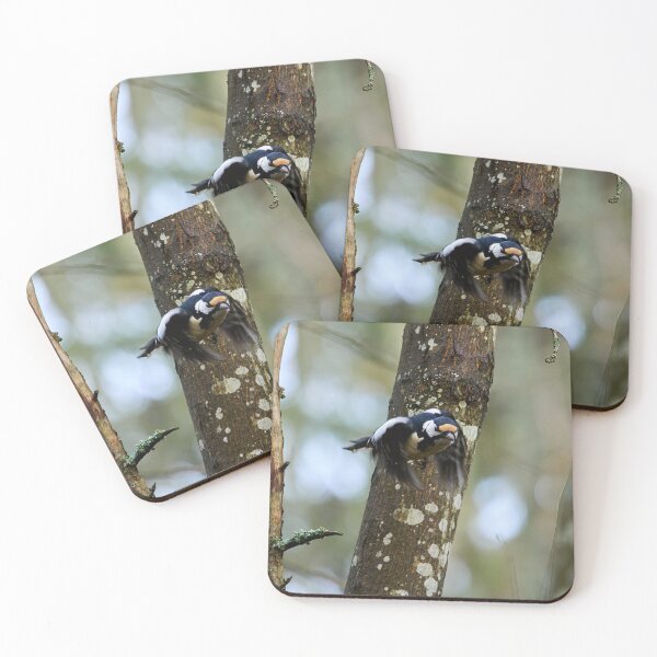 Item preview, Fly eyes half shut. Great Spotted Woodpecker designed and sold by Jouko Lehto Photography.