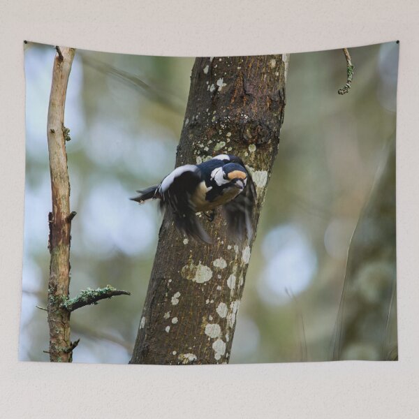 Item preview, Fly eyes half shut. Great Spotted Woodpecker designed and sold by Jouko Lehto Photography.