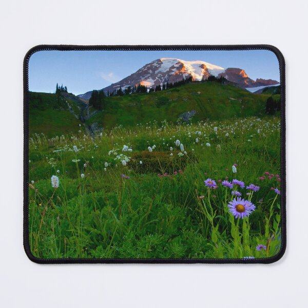 Item preview, First Light designed and sold by DawsonImages.