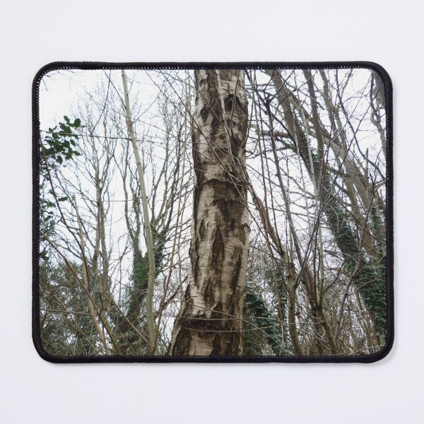 Item preview, Britsh Trees in Whittleford Nuneaton Warwickshire designed and sold by Am Fear Liath Mòr Designs.