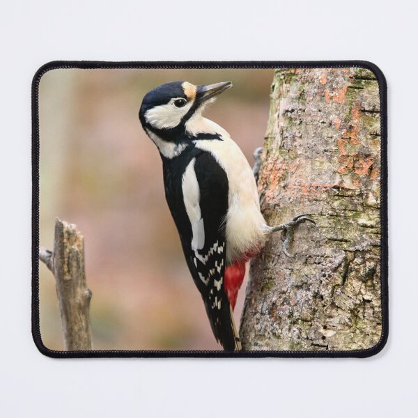 Item preview, Standardt. Great Spotted Woodpecker designed and sold by Jouko Lehto Photography.