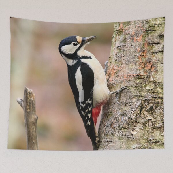 Item preview, Standardt. Great Spotted Woodpecker designed and sold by Jouko Lehto Photography.