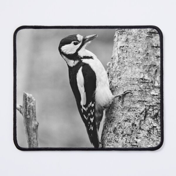 Item preview, Standardt. Great Spotted Woodpecker bw designed and sold by Jouko Lehto Photography.