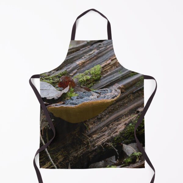 Item preview, Fall. Willow bracket 2025 designed and sold by Jouko Lehto Photography.