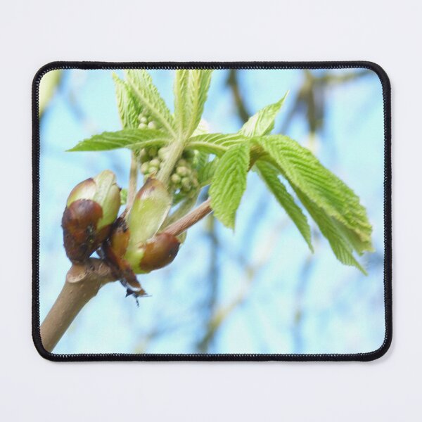Item preview, British Tree in Bloom designed and sold by Am Fear Liath Mòr Designs.
