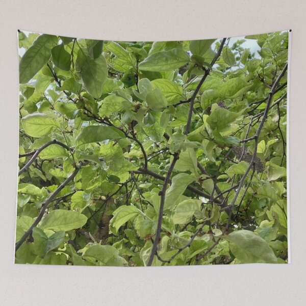 Item preview, Apple Tree-s designed and sold by IsabelQuincoces.