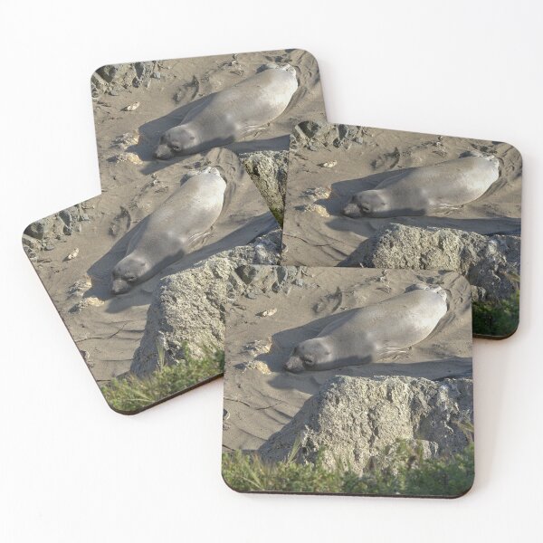 Item preview, Coastal : Seal at Rest designed and sold by Armadillo222.