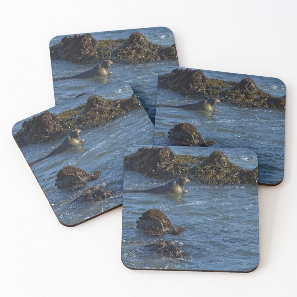 Item preview, Elephant Seal Among the Rocks  designed and sold by Armadillo222.