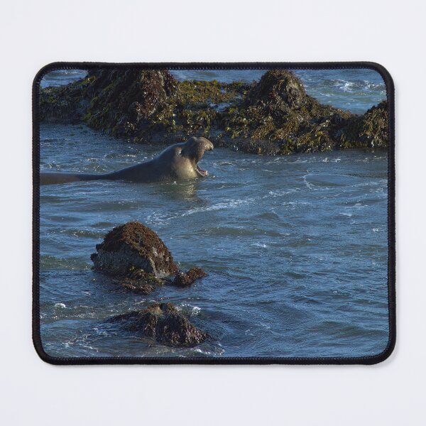 Item preview, Elephant Seal Among the Rocks  designed and sold by Armadillo222.