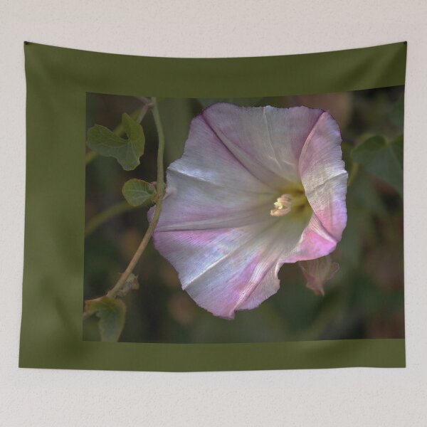Item preview, Whisper of Morning Light designed and sold by Armadillo222.