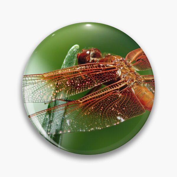 Item preview, Golden Skimmer Dragonfly  designed and sold by Armadillo222.