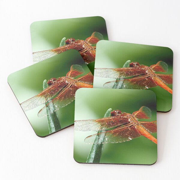 Item preview, Golden Skimmer Dragonfly  designed and sold by Armadillo222.