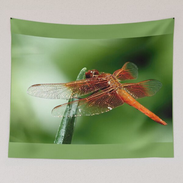 Item preview, Golden Skimmer Dragonfly  designed and sold by Armadillo222.