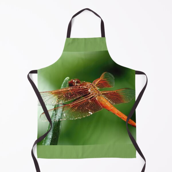 Item preview, Golden Skimmer Dragonfly designed and sold by Armadillo222.