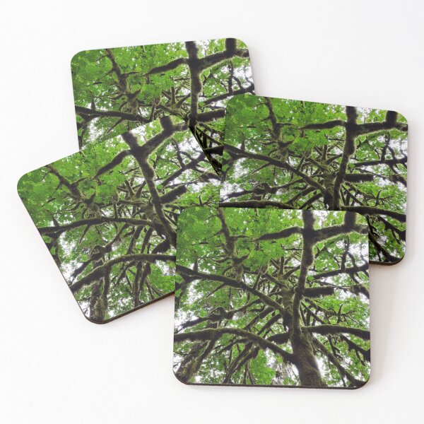 Item preview, Silver Falls State Park designed and sold by Designed by Southern Minnesota Guy.