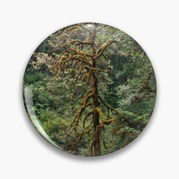 Artikelvorschau, Silver Falls State Park entworfen und verkauft von Designed by Southern Minnesota Guy.