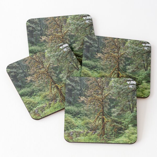 Item preview, Silver Falls State Park designed and sold by Designed by Southern Minnesota Guy.