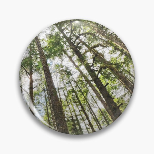 Artikelvorschau, Silver Falls State Park entworfen und verkauft von Designed by Southern Minnesota Guy.