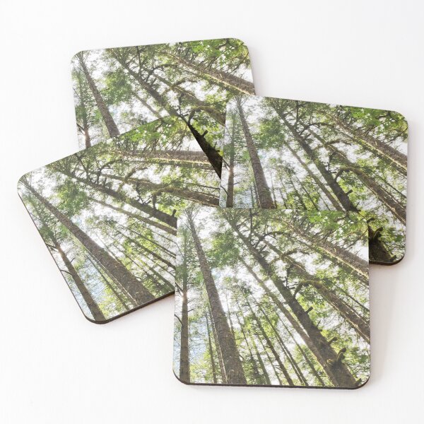 Item preview, Silver Falls State Park designed and sold by Designed by Southern Minnesota Guy.
