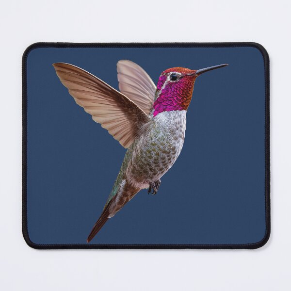 Item preview, Kolibri designed and sold by ArtfulPlay.