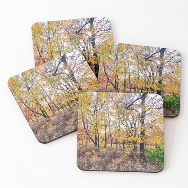 Item preview, Timberlane County Park designed and sold by Designed by Southern Minnesota Guy.