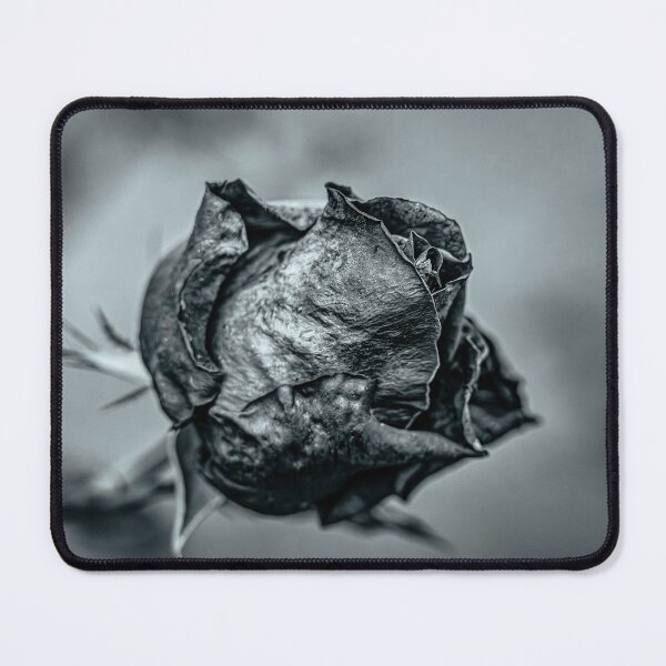 Item preview, Fading Rose in Black and White designed and sold by Rabee Khalil Photography.