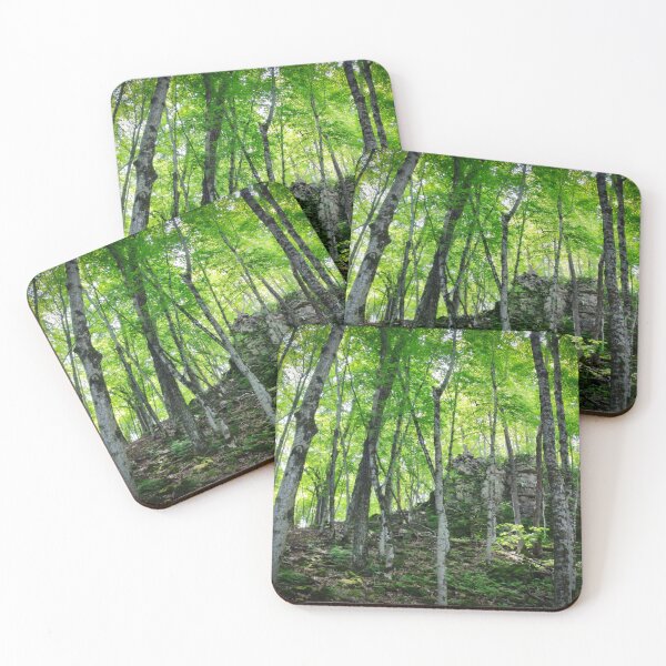 Item preview, Whitewater State Park designed and sold by Designed by Southern Minnesota Guy.