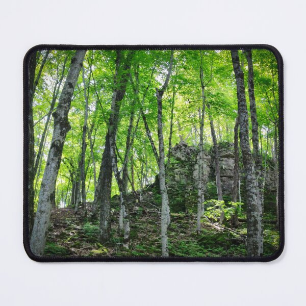 Item preview, Whitewater State Park designed and sold by Designed by Southern Minnesota Guy.