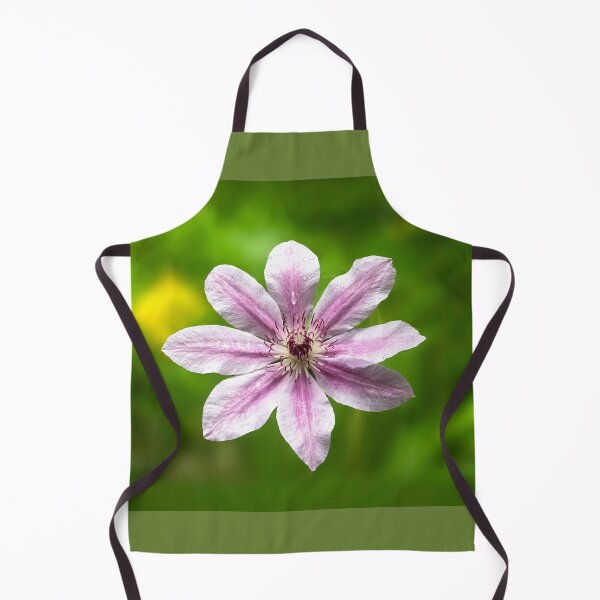 Item preview, Clematis Nelly Moser designed and sold by annasofia.