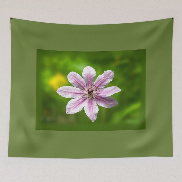 Item preview, Clematis Nelly Moser designed and sold by annasofia.