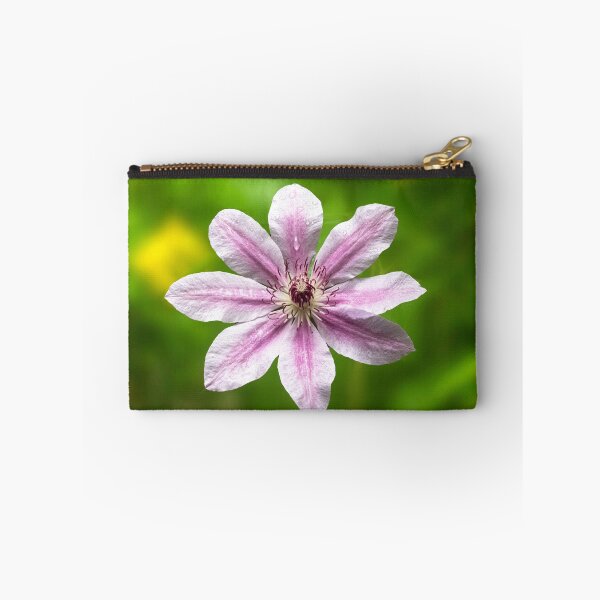 Item preview, Clematis Nelly Moser designed and sold by annasofia.