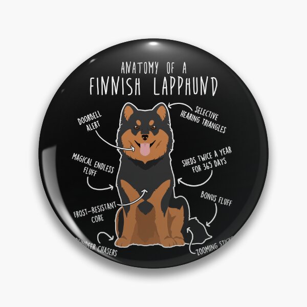 Artikelvorschau, Anatomie des Finnischen Lapphundes entworfen und verkauft von Clara Hollins.