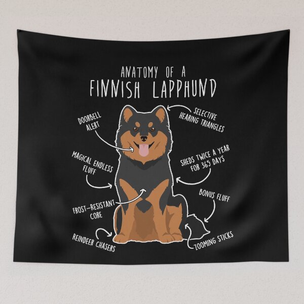Item preview, Finnish Lapphund Dog Anatomy designed and sold by Clara Hollins.