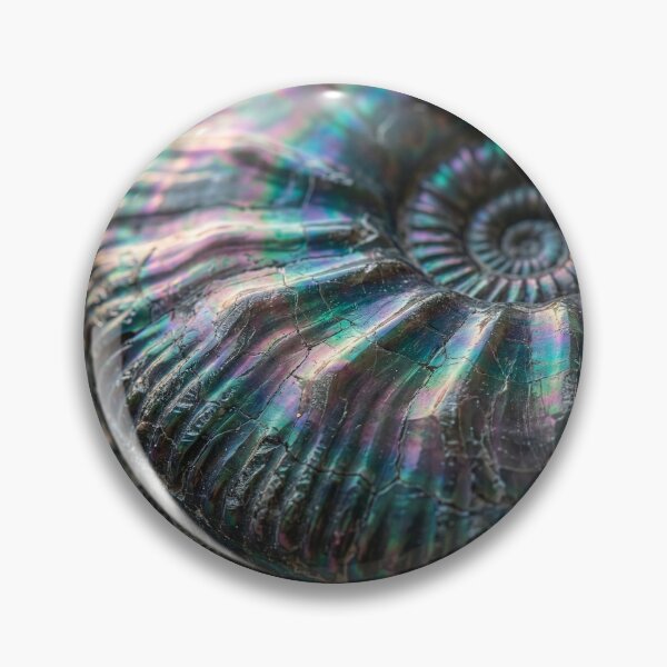 Item preview, Ammonite Fossil designed and sold by Tridentulus.