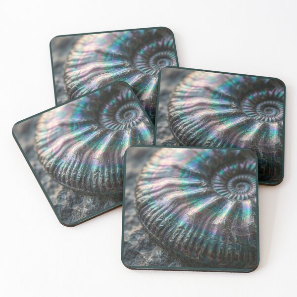 Item preview, Ammonite Fossil designed and sold by Tridentulus.